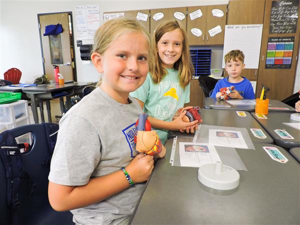 Students in 4th Grade learning about the heart. 